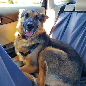 Meet your Posher, Welter